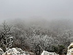 20200125_122527