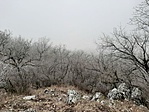 20200125_122414