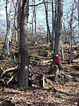 IMG_20200103_122749