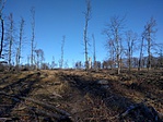 IMG_20200103_130443