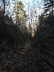 IMG_20200102_121253