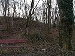 IMG_20191228_111047