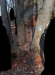 IMG_20200105_103529