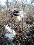 IMG_20200209_120750