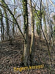 IMG_20200209_124550~2