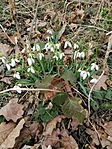IMG_20200218_114053