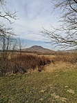 IMG_20200216_121053