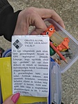 IMG_20200207_155504