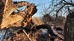 20200208_153604