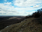 DSCN2598-001