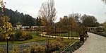 IMG_20191107_093353