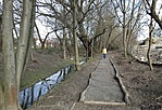 Tabajd_2