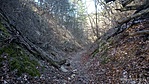 IMG_20200202_135119