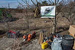 _DSC1272