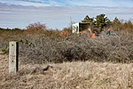 _DSC1276