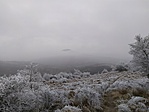 IMG_20200119_103838