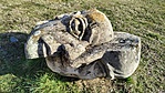 IMG_20200213_143354