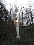 IMG_20200209_105631