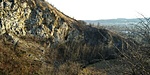 20200207_155739_HDR