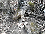 20200111_102605[1]