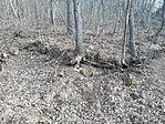 20200111_102615[1]