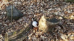 20200209_090032