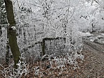 20200118_105754