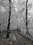 20200118_103126