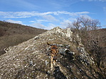 P1040995