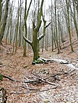 IMG_20200125_122114