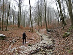 IMG_20200125_122855