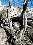IMG_20200208_151901