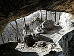 IMG_20200208_151957