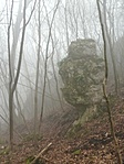 IMG_20190210_112846