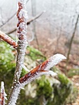 IMG_20190210_121403