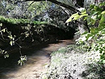 IMG_20180929_104157