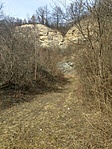IMAG0696