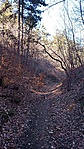 IMG_20200208_111425