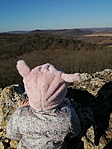 IMG_20200201_102706