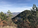 IMG_2860