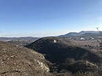 IMG_2914