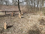 20200229_121330