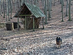IMG_20200213_142548
