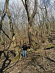 borjúfő