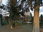 IMG_20200211_161509