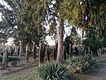 IMG_20200211_161501