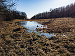 IMG_5190