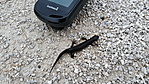 20200204_131143