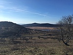 IMG_8943