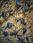 IMG_20200126_132246-01-01